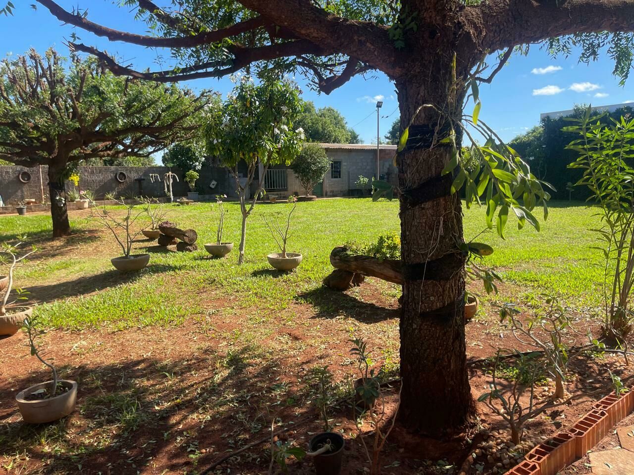 Imagem do VENDA - ÁREA DE 2.000M2 NO SETOR INDUSTRIAL
